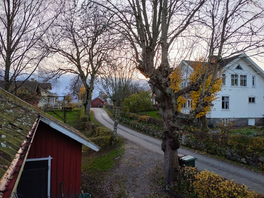 Hemmingsmarks Idrottsforening